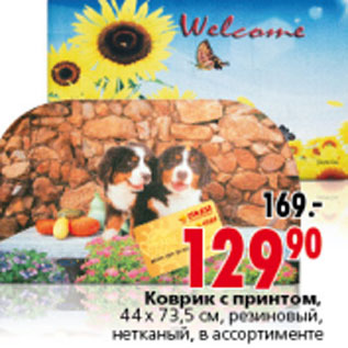 Акция - КОВРИК С ПРИНТОМ