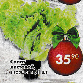 Акция - Салат листовой