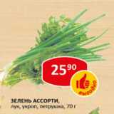 Магазин:Верный,Скидка:Зелень ассорти лук, укроп, петрушка 