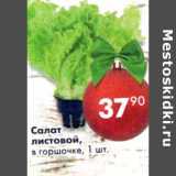 Магазин:Пятёрочка,Скидка:Салат листовой 
