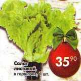 Магазин:Пятёрочка,Скидка:Салат листовой 