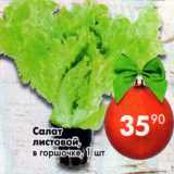 Магазин:Пятёрочка,Скидка:Салат листовой 