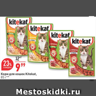 Акция - Корм для кошек Kitakat