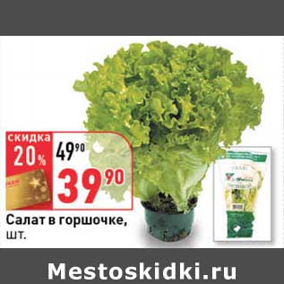 Акция - Салат в горшочке