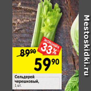 Акция - Сельдерей черешковый, 1 шт.