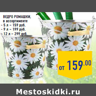 Акция - ВЕДРО ромашки, в ассортименте