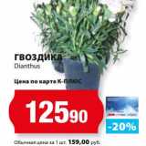 Магазин:К-руока,Скидка:Гвоздика Dianthus 