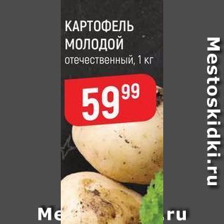 Акция - КАРТОФЕЛЬ молодой