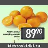 Билла Акции - Апельсины
новый урожай
Египет
1 кг
