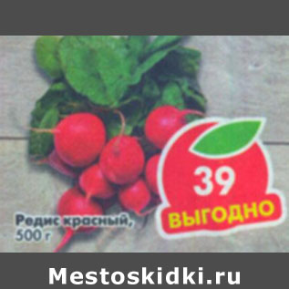Акция - Редис красный