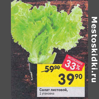 Акция - Салат Листовой 1 упаковка
