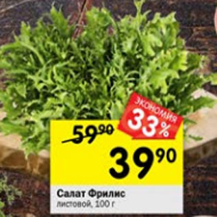 Акция - Салат Фрилис листовой