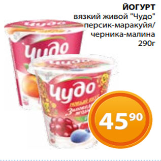 Акция - ЙОГУРТ вязкий живой "Чудо" персик-маракуйя/ черника-малина 290г