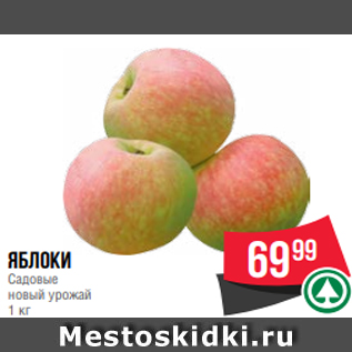 Акция - яблоки Садовые новый урожай 1 кг