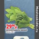 Виктория Акции - Шпинат/щавель свежий
Лето, 50 г