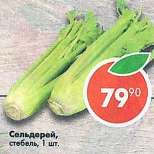 Акция - Сельедерей стебель