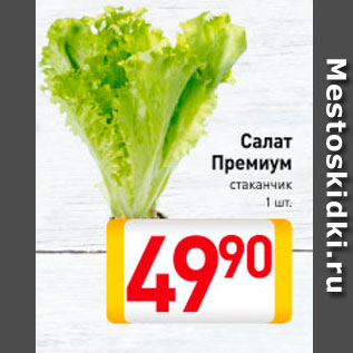 Акция - Салат Премиум