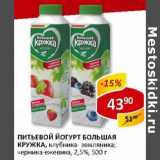 Магазин:Верный,Скидка:Питьевой йогурт Большая кружка, клубника-земляника; черника-ежевика, 2,5%