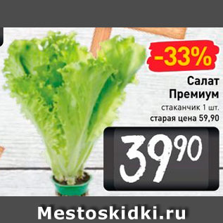 Акция - Салат Премиум