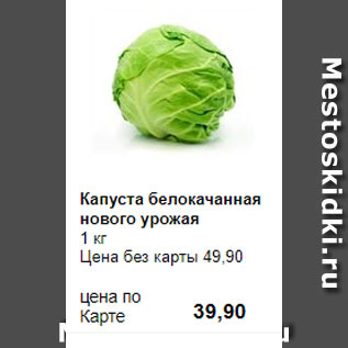 Акция - Капуста белокачанная нового урожая 1 кг