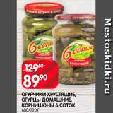 Spar Акции - Огурцы 6 соток