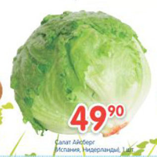 Акция - Салат Айсберг