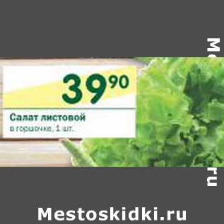 Акция - Салат листовой