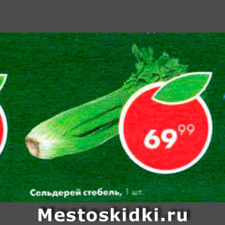Акция - Сельдерей стебель