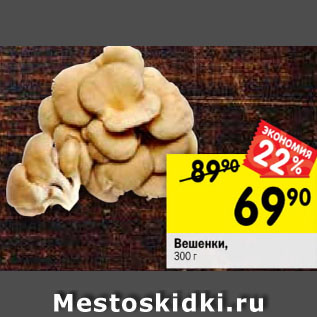 Акция - Вешенки