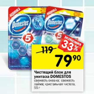 Акция - Чистящий блок для унитаза Domestos