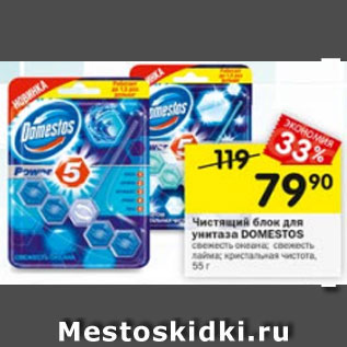 Акция - Чистящий блок для унитаза Domestos