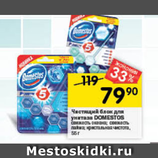 Акция - Чистящий блок для унитаза Domestos