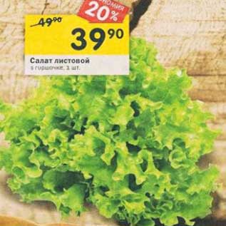 Акция - Салат листовой