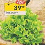 Магазин:Перекрёсток,Скидка:Салат листовой 