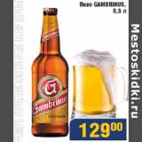 Мой магазин Акции - Пиво Gambrinus
