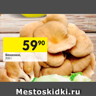 Акция - Вешанки