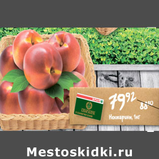 Акция - НЕКТАРИНЫ