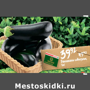 Акция - БАКЛАЖАНЫ