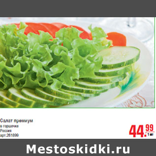 Акция - Салат премиум