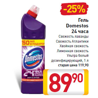 Акция - Гель Domestos 24 часа