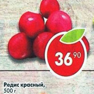 Акция - Редис красный