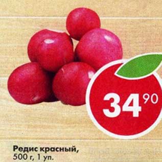 Акция - Редис красный