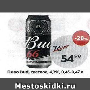 Акция - Пиво Bud