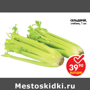 Акция - СЕЛЬДЕРЕЙ