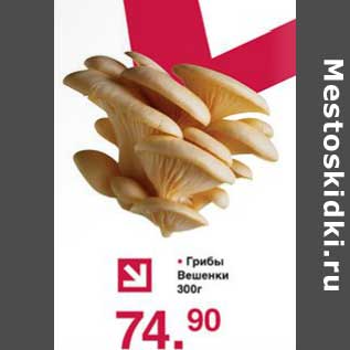 Акция - Грибы Вешенки