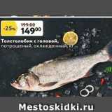 Магазин:Окей супермаркет,Скидка:Толстолобик 