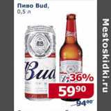 Мой магазин Акции - Пиво Bud