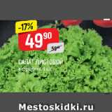 Магазин:Верный,Скидка:САЛАТ ЛИСТОВОЙ в горшочке