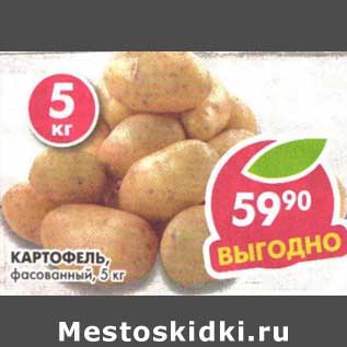 Акция - Картофель, фасованный