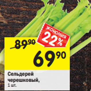 Акция - Сельдерей черешковый, 1 шт